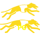  8PG